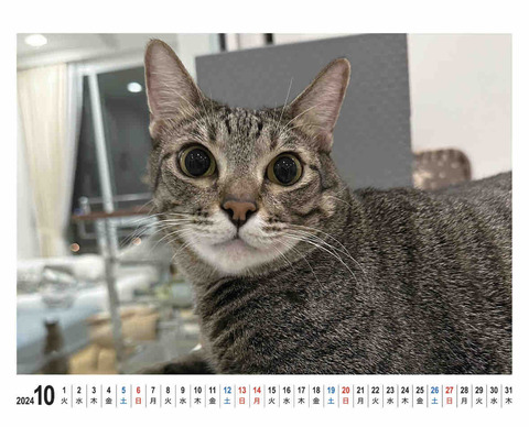FullSizeRender