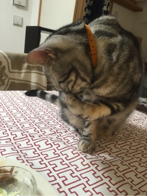 {4F6B7D44-A1DE-4080-99C6-39A64B877064:01}