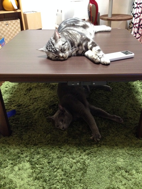 {BEEAF1AC-4591-4533-A800-AC473153C8DE:01}