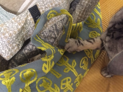 {44F75573-7933-42AD-BCF5-21BE59F91915:01}