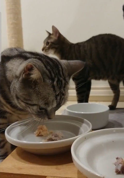 Screenshot_20191129-080449_Photos