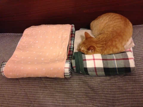 {861715D1-1620-4855-BD5E-1BB70F285027:01}