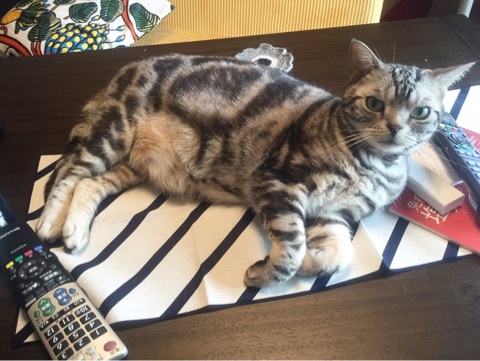 {3F98C3A1-8A6D-46E4-8874-C1BB700ABF9D}