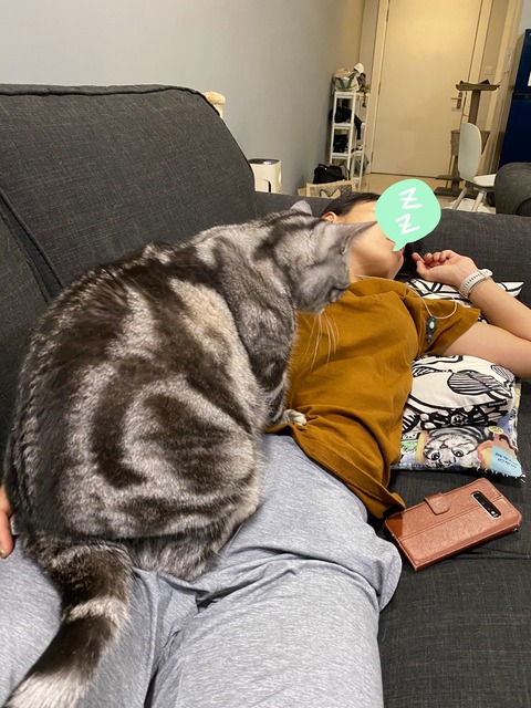 21-11-17-10-37-40-414_deco