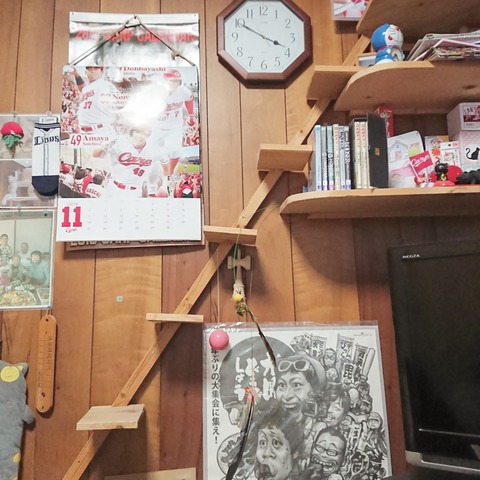 IMG_20181123_192752_885