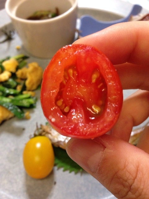 {B9C686B8-DB29-417C-BA4D-8616CA152FB2:01}