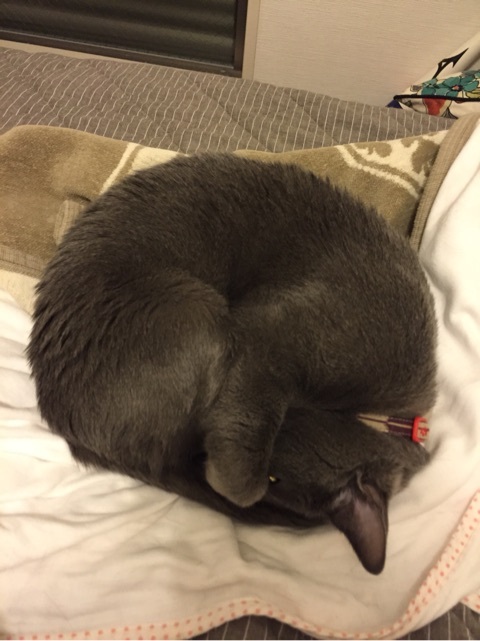 {7F40FFD1-F59C-43BF-8242-9D7CF89B9038:01}