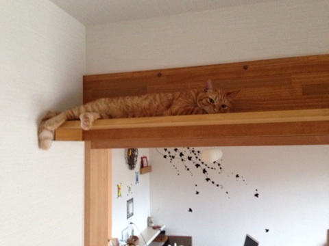 {1863DC4A-6059-409D-8D62-A9ED91CE1658:01}