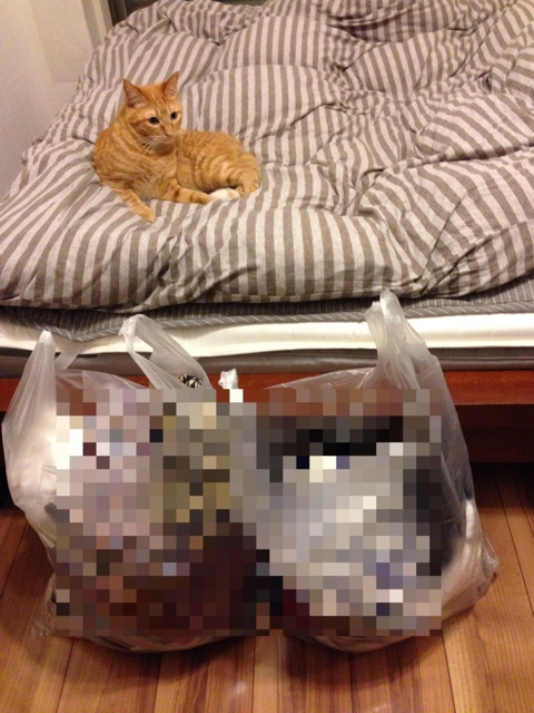 {4FB15E09-6028-41D9-B6F6-B15B1FE443C2:01}