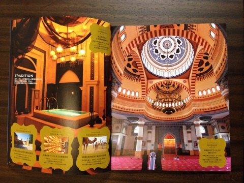 {F5183007-2CA4-4707-A6B8-FF67BCF571C2:01}