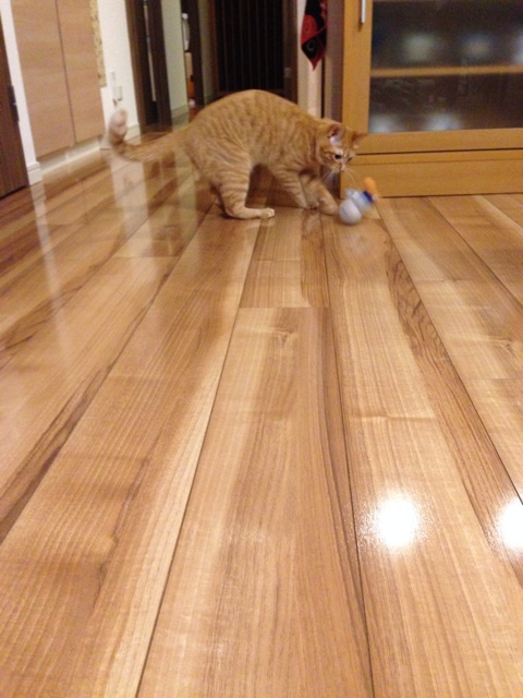 {73B48F80-597B-41F0-8403-9299BBE93005:01}