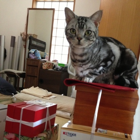 photo:01