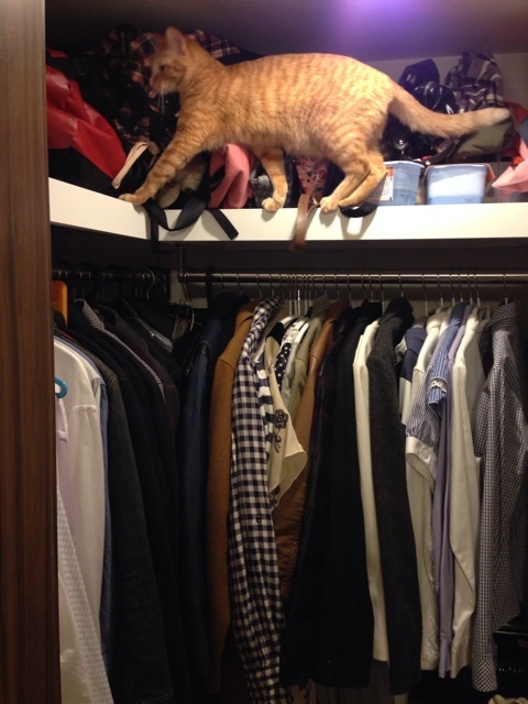 {A98642CF-CE50-43C0-A066-23616727B264:01}