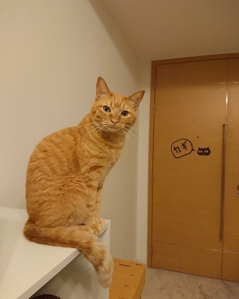 IMG_20171227_145143_055