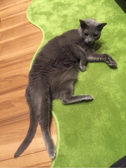 {37414587-11B9-4F38-8C06-A9AFB2A51B3F}