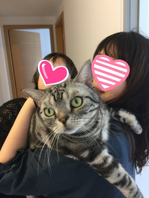 17-12-26-09-15-03-299_deco