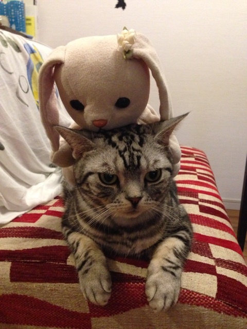 {D61BEAFB-DBB0-4566-B6FB-80EBD0BBE100:01}