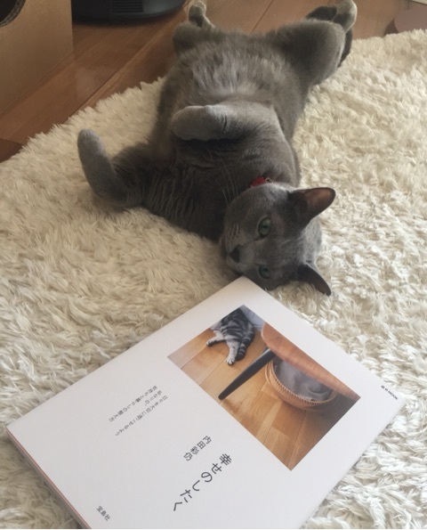 {A91567E1-DBCE-412F-883C-201AA59242A3:01}