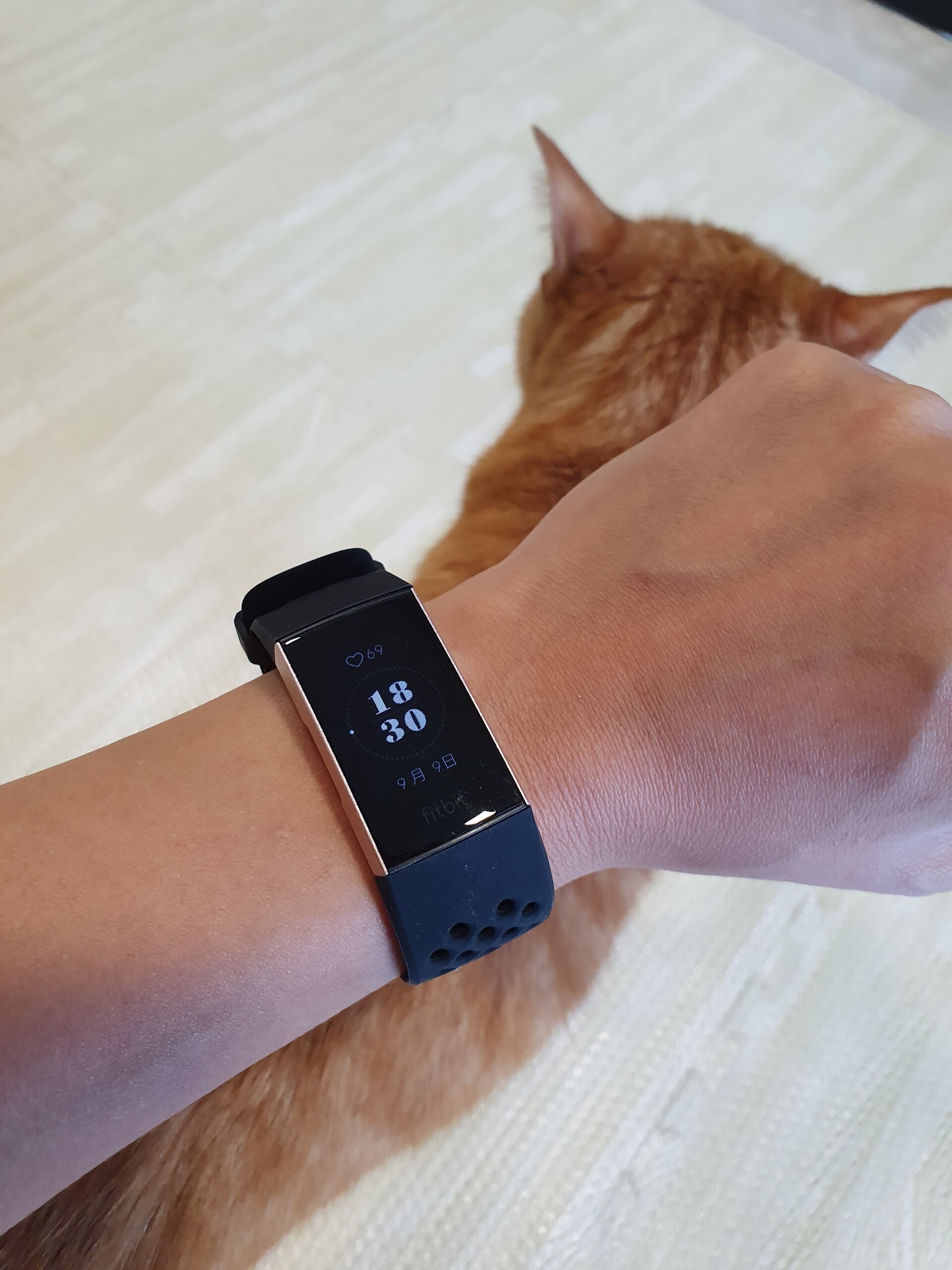 閲覧注意 Fitbitのベルトで集合体恐怖症発覚 ねころぐ にゃんごくlife クアラルンプール Powered By ライブドアブログ