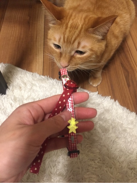 {890A3B6D-66EB-4C8E-A164-BFFD7442C127:01}