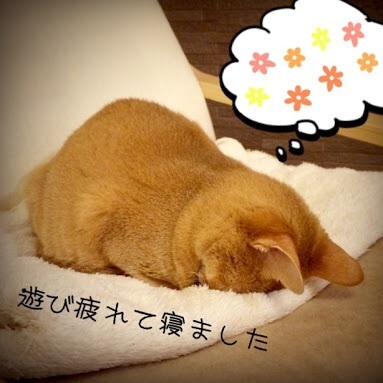 {21C9142A-77CC-429D-9478-DCADCEA6F38C:01}