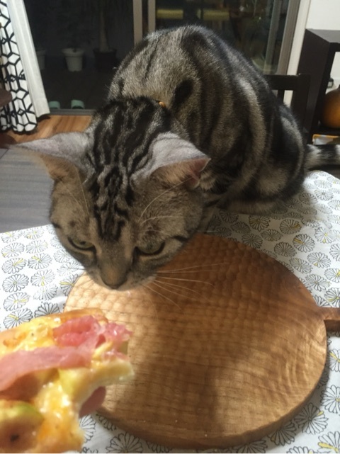 {C2CE5C69-C6C0-41FB-99CB-241C376F5A67:01}