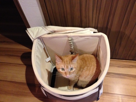 {FAD2AB48-BFBD-4663-B8A5-B819D913B21F:01}