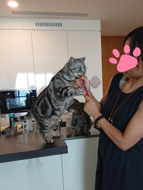 19-01-11-11-03-24-871_deco