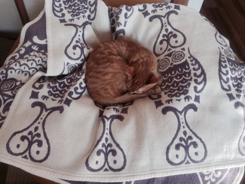 {6F6BA7B9-D4E6-4FE3-8C24-4603D3F55843:01}