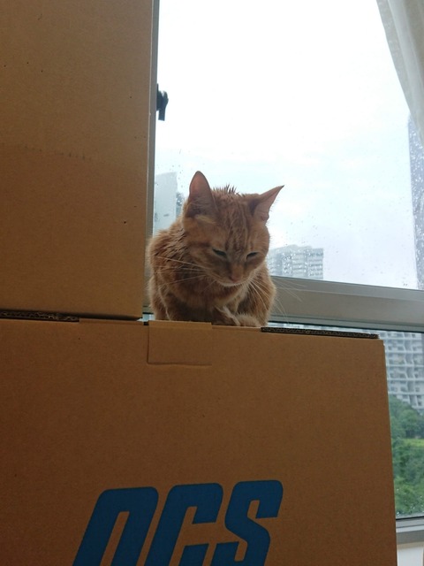 18-08-24-09-01-15-005_deco