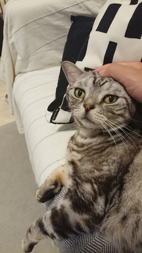 IMG-20190218-WA0027