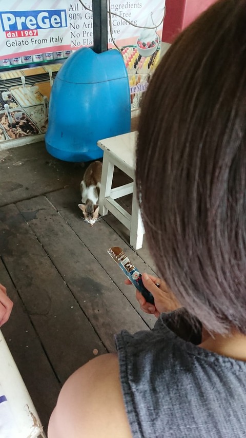 IMG-20190921-WA0004
