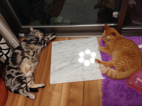 {FEA03843-E08A-4288-BFD7-5DC04189F844:01}