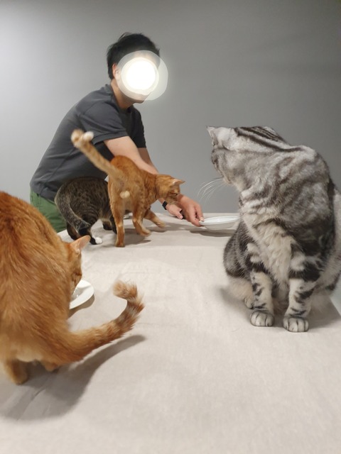 20-10-26-12-36-50-085_deco