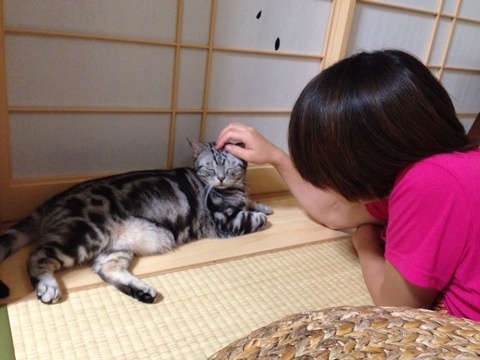 {711F6201-9E13-4870-A4A2-221C8A26F8A8:01}