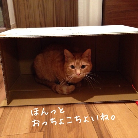{6BA7B76A-6EEA-4FB9-9DEC-581F68C72D05:01}