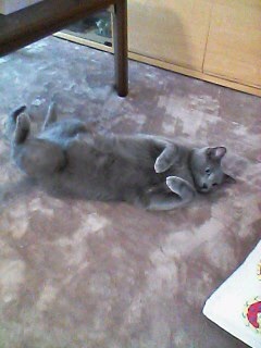 {C9FA4807-EF0C-4D69-9C15-753524E2F397:01}