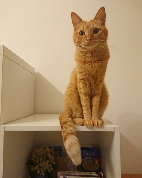 IMG_20171227_145143_052