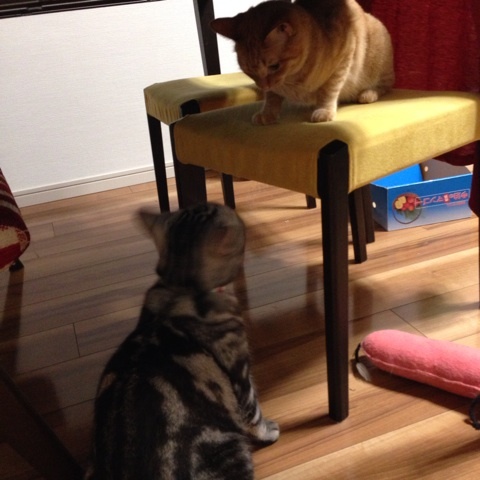 {A2B15315-B238-43BB-92E0-94441249187B:01}