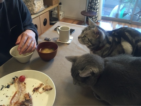 {004BB446-635B-4DDA-89DB-4B43C9D57C95:01}