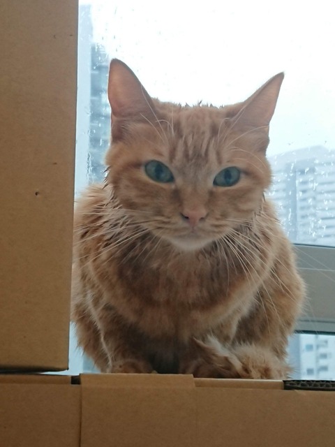 18-08-24-09-01-37-659_deco