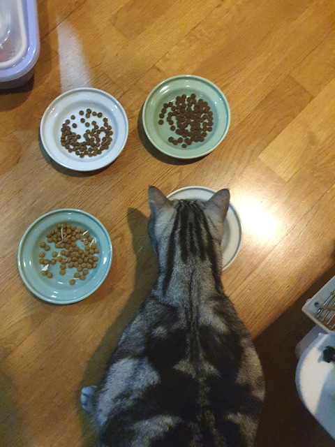 21-11-09-08-51-14-255_deco