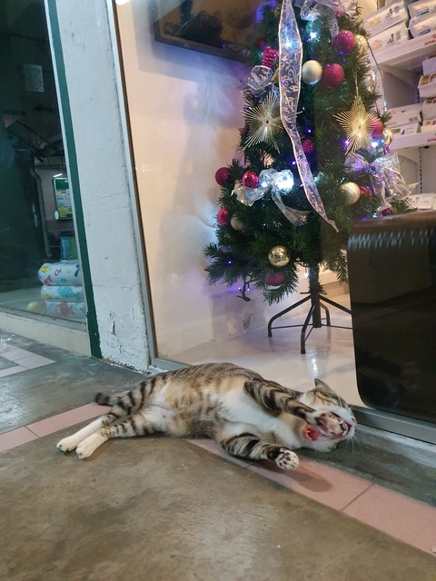 20191211_222826