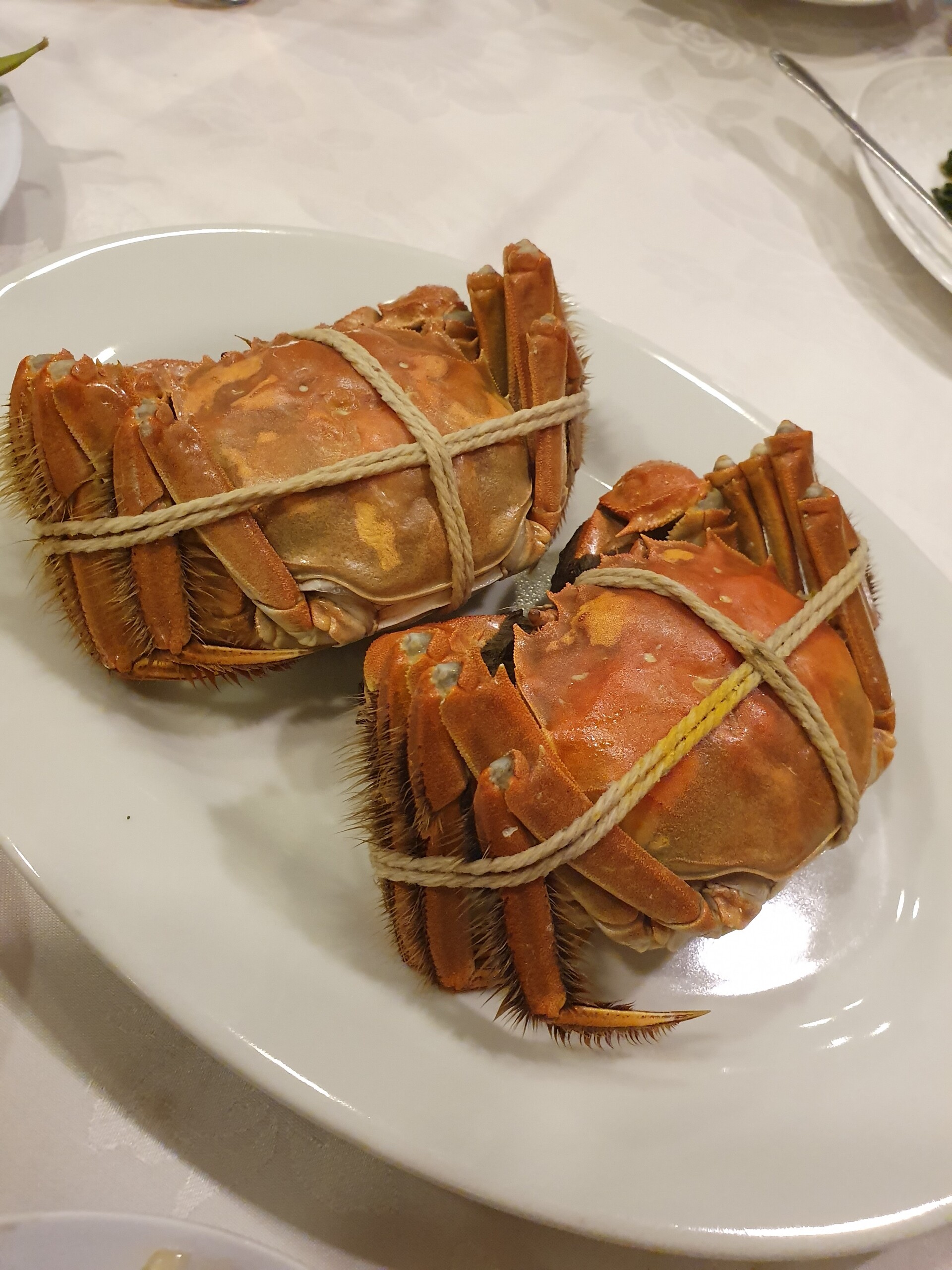 シンガポールで上海ガニを食べました ねころぐ にゃんごくlife クアラルンプール Powered By ライブドアブログ シンガポールで上海ガニを食べました ねころぐ にゃんごくlife クアラルンプール Powered By ライブドアブログ