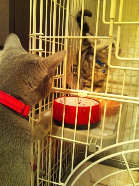 {9B5A8B88-581D-46CF-A1B0-A5E0BE6BECF6:01}