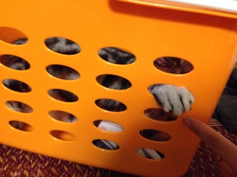 {74633BB7-BA89-488E-BCF4-9ED9788A6ED7:01}