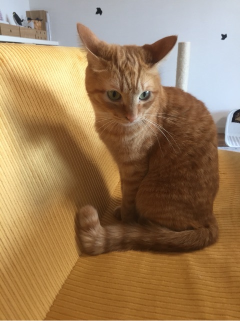 {F9FFA597-CF7A-43A7-81AD-F9F1B189D6D5:01}