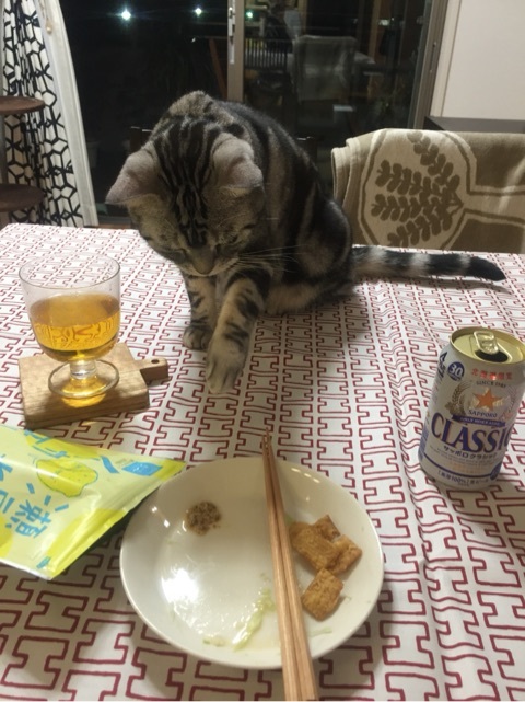 {AF6F0E4A-5F7A-4871-B6D7-01ACDE1EE3A8:01}