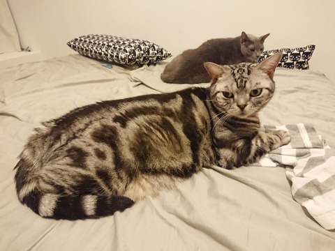 [画像:6739918d-s.jpg]