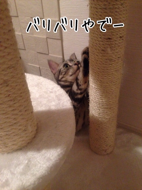 {FC618FB1-B7B1-4FD1-A893-417BD7C41E6C:01}